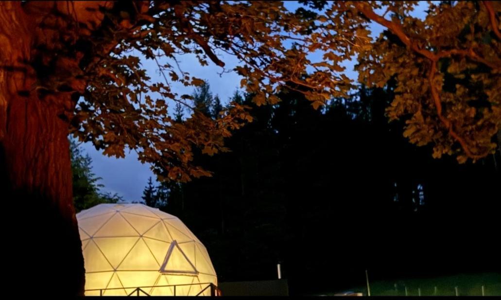 فندق Forrest Glamp Mieroszow المظهر الخارجي الصورة