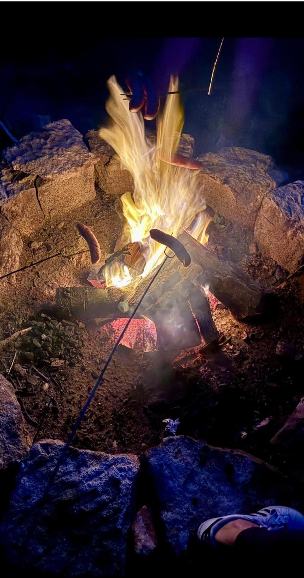 فندق Forrest Glamp Mieroszow المظهر الخارجي الصورة