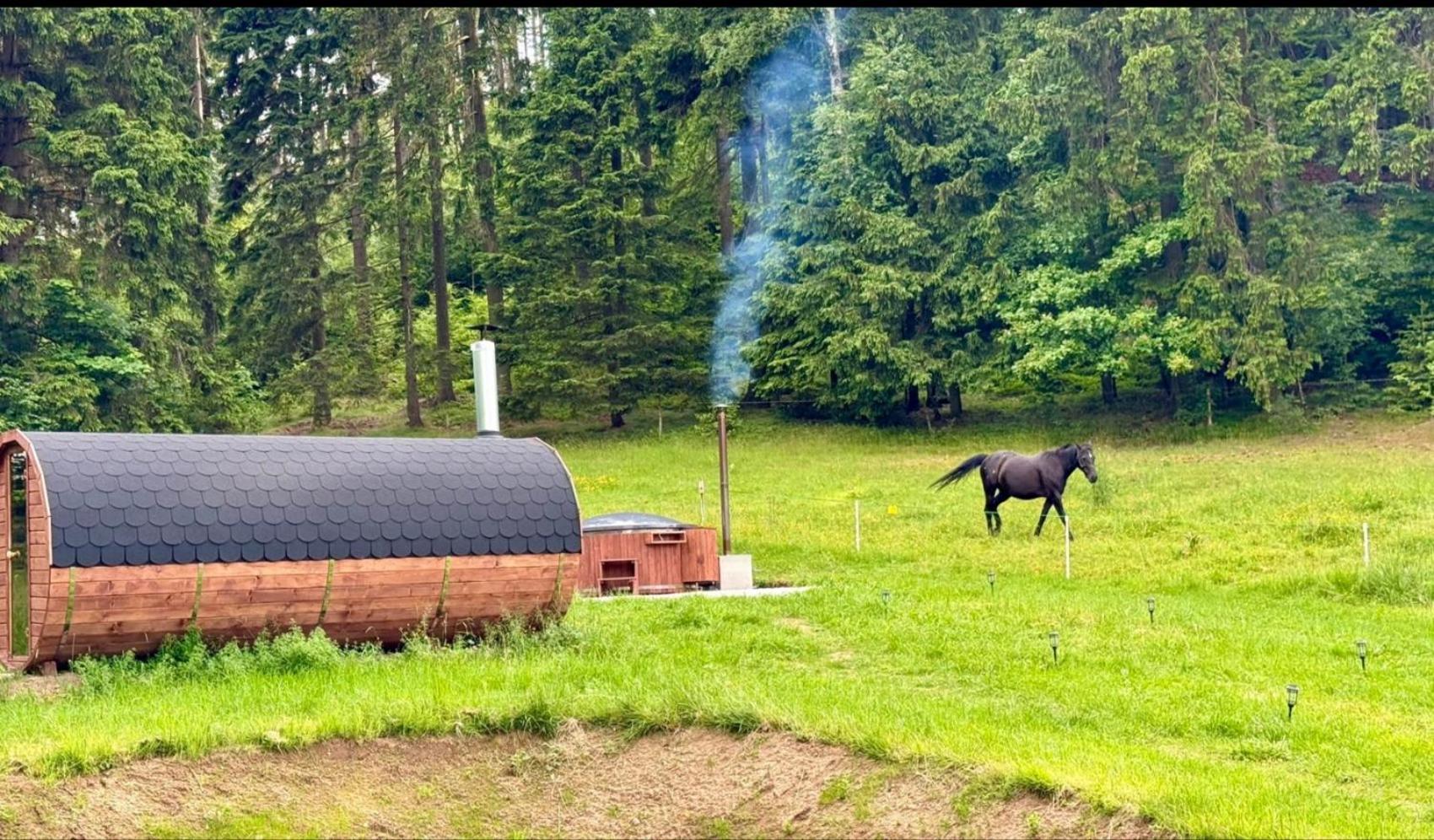 فندق Forrest Glamp Mieroszow المظهر الخارجي الصورة