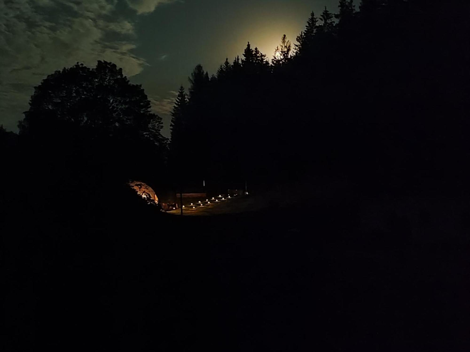 فندق Forrest Glamp Mieroszow المظهر الخارجي الصورة